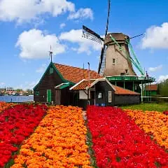 Netherlands