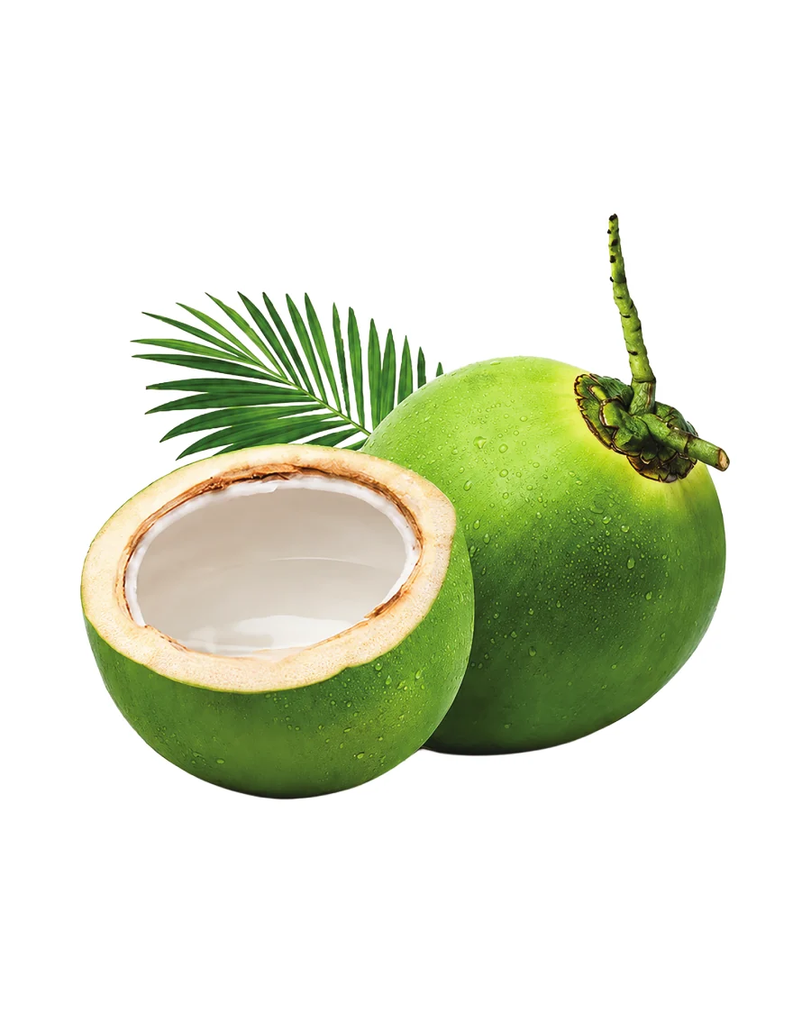 Mova Fresh — Ben Tre Coconut